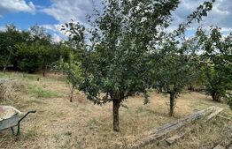  Casa individuală de vânzare în Bencecu de Jos!