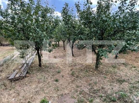 Casa de vânzare 5 camere Bencecu de Sus - 159275CV | BLITZ Timișoara | Poza17