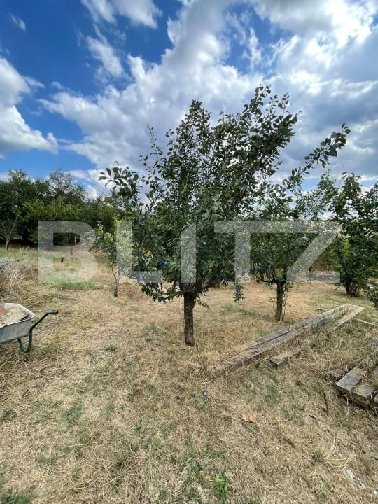 Casa de vânzare 5 camere Bencecu de Sus - 159275CV | BLITZ Timișoara | Poza16