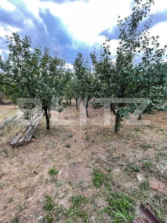 Casa de vânzare 5 camere Bencecu de Sus - 159275CV | BLITZ Timișoara | Poza17