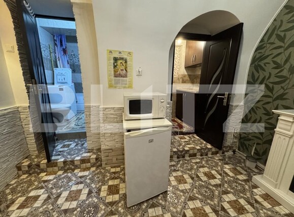 Apartament de închiriat 2 camere P-ta Unirii - 159501AI | BLITZ Timișoara | Poza6