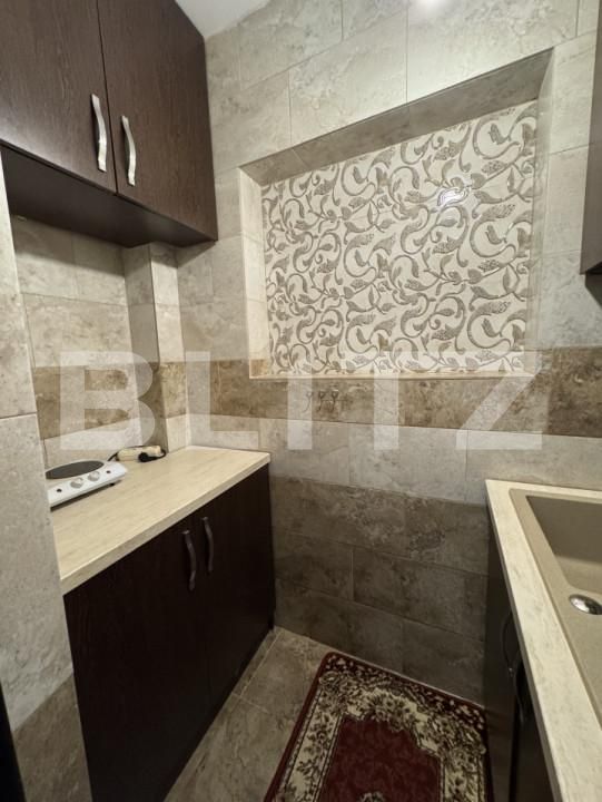 Apartament de închiriat 2 camere P-ta Unirii - 159501AI | BLITZ Timișoara | Poza10
