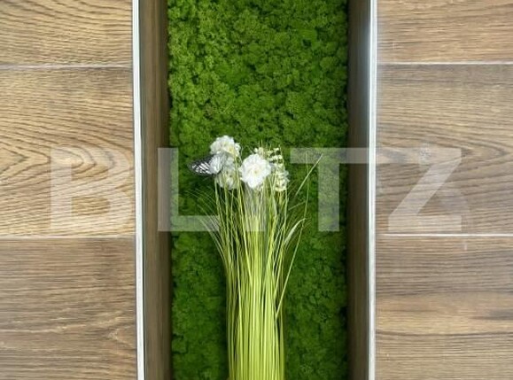 Casa de vânzare 5 camere Dumbravita - 159505CV | BLITZ Timișoara | Poza14