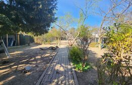 Teren de vazare, 800 mp, Plopi