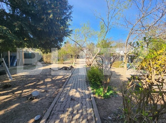 Teren de vânzare Plopi - 159515TV | BLITZ Timișoara | Poza1