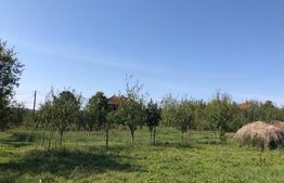 Casa individuala, Su=150mp, 4 camere, Sacosu Mare, Darova