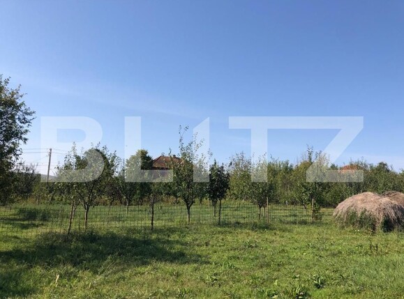 Casa de vânzare 4 camere Exterior Est - 159532CV | BLITZ Timișoara | Poza8