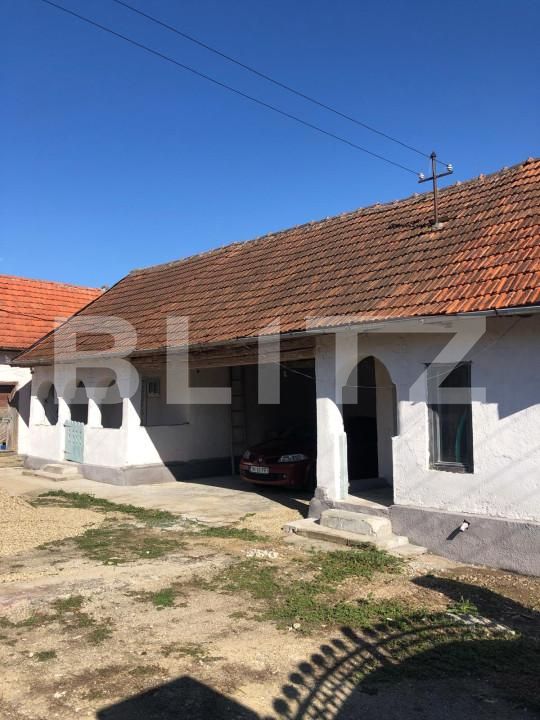 Casa de vânzare 4 camere Exterior Est - 159532CV | BLITZ Timișoara | Poza3