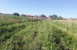 Oportunitate! Casa individuala in Comlosu Mare.