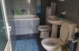 Oportunitate! Casa individuala in Comlosu Mare.