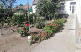 Oportunitate! Casa individuala in Comlosu Mare.