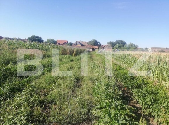 Casa de vânzare 6 camere Exterior Vest - 159593CV | BLITZ Timișoara | Poza16