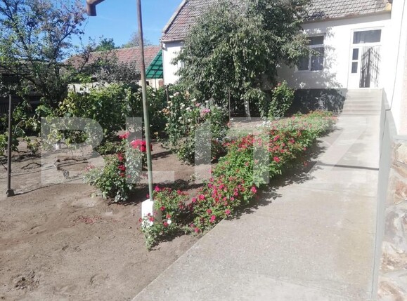 Casa de vânzare 6 camere Exterior Vest - 159593CV | BLITZ Timișoara | Poza5