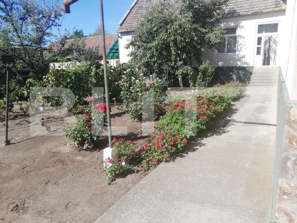 Casa de vânzare 6 camere Exterior Vest - 159593CV | BLITZ Timișoara | Poza5