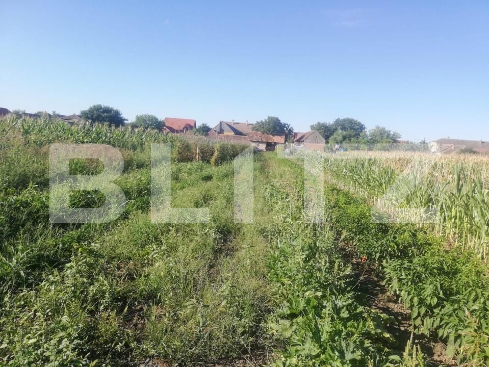 Casa de vânzare 6 camere Exterior Vest - 159593CV | BLITZ Timișoara | Poza16