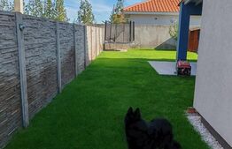 Duplex foarte frumos in Mosnita Noua, zona buna, aproape de Timisoara