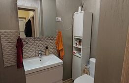 Duplex foarte frumos in Mosnita Noua, zona buna, aproape de Timisoara