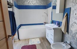 Duplex foarte frumos in Mosnita Noua, zona buna, aproape de Timisoara