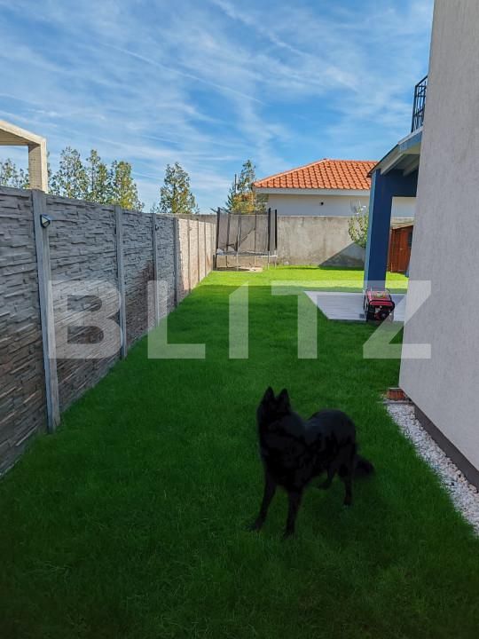 Casa de vânzare 4 camere Mosnita Noua - 159665CV | BLITZ Timișoara | Poza13