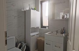 Duplex superb pe parter, Mosnita noua langa Drumul Boilor