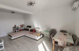 Duplex superb pe parter, Mosnita noua langa Drumul Boilor