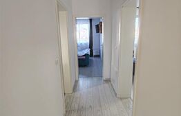 Duplex superb pe parter, Mosnita noua langa Drumul Boilor