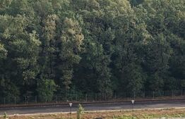 Apt superb 3 Camere, cu terasa, panorama de vis spre padure