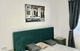 Apartament cu 2 camere, ready to move, etaj 2, Braytim, Giroc