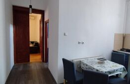 Apartament 2 camere, renovat la cheie, semineu, Bulevardul 3 August