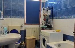 Apartament 2 camere, renovat la cheie, semineu, Bulevardul 3 August