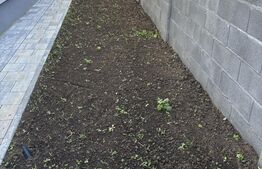 Duplex, 4 camere in Sacalaz, zona linistita.