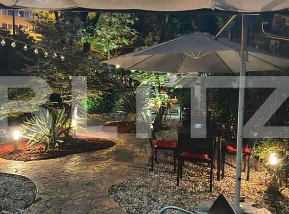 Spațiu comercial de vânzare Gheorghe Lazar - 159979SVC | BLITZ Timișoara | Poza1