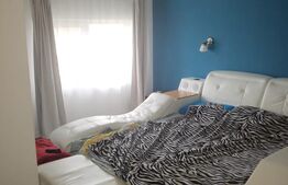 Duplex spatios, mobilat si utilat, Mosnita Noua