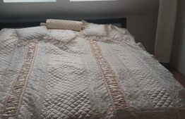 Vila individuala in Dumbravita, zona Lac-padure