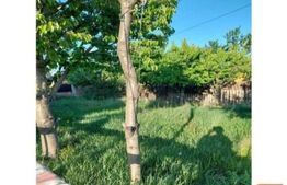 Vila individuala in Dumbravita, zona Lac-padure