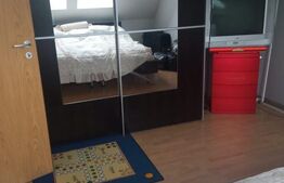 Vila individuala in Dumbravita, zona Lac-padure