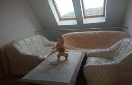 Vila individuala in Dumbravita, zona Lac-padure