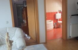 Vila individuala in Dumbravita, zona Lac-padure