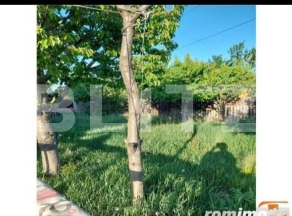 Casa de vânzare 5 camere Dumbravita - 160194CV | BLITZ Timișoara | Poza5