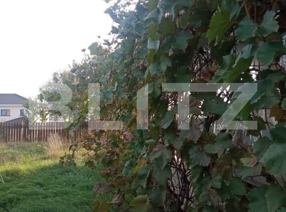 Casa de vânzare 5 camere Dumbravita - 160194CV | BLITZ Timișoara | Poza11