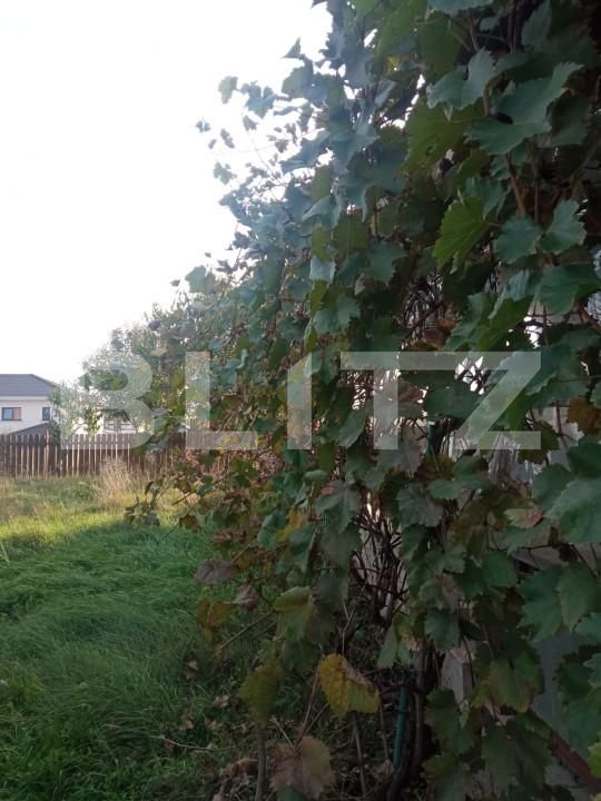 Casa de vânzare 5 camere Dumbravita - 160194CV | BLITZ Timișoara | Poza9