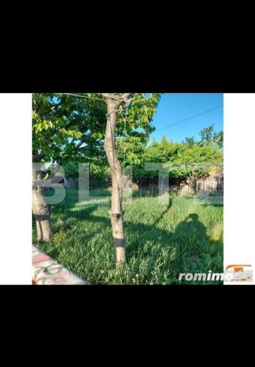 Casa de vânzare 5 camere Dumbravita - 160194CV | BLITZ Timișoara | Poza8