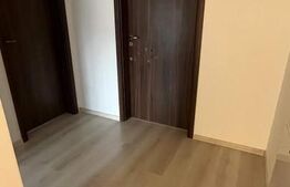 Casa insiruita, moderna in Dumbravita 