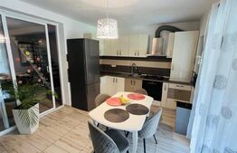 Casa insiruita, moderna in Dumbravita 