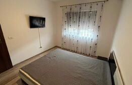 Casa insiruita, moderna in Dumbravita 