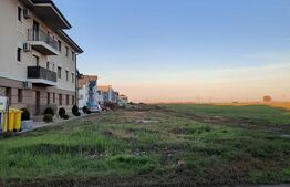 Teren cu urbanism, intravilan servicii, 1372 mp, in Dumbravita!