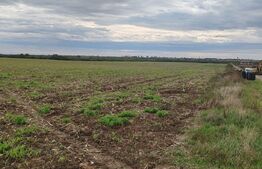 Parcele in ansamblu rezidential Giarmata Individuala/Duplex P+1E+M