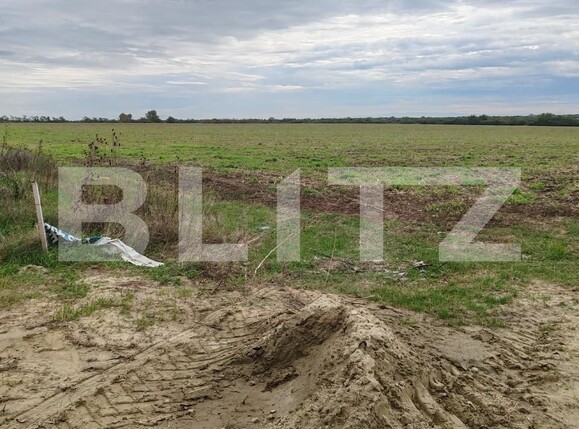Teren de vânzare Giarmata - 160413TV | BLITZ Timișoara | Poza4
