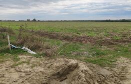 Parcele in ansamblu rezidential Giarmata Individuala/Duplex P+1E+M