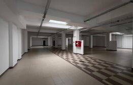 Spatiu comercial, 850 mp, Semicentral